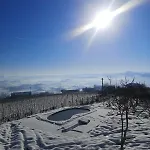 Lux Vista Vigneti Unesco-piscina E Idromassaggio Βίλα Agliano Terme