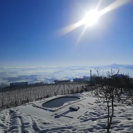 Lux Vista Vigneti Unesco-piscina E Idromassaggio Βίλα Agliano Terme