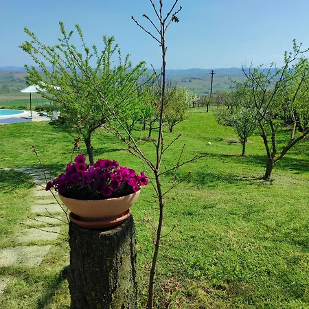 Luxury Vista Vigneti-piscina Privata *