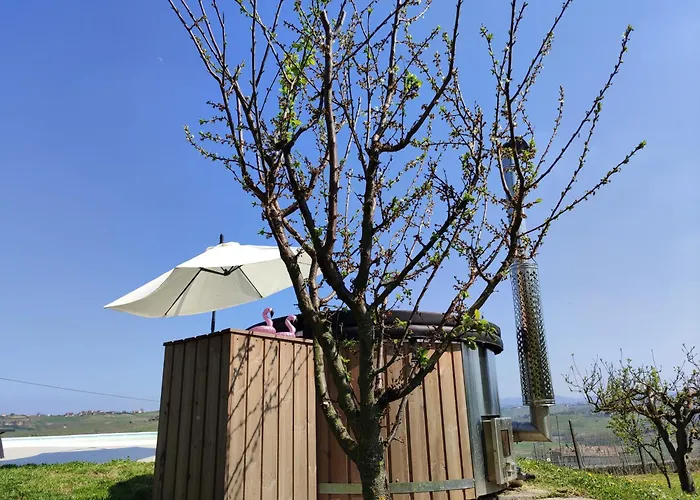 Villa Lux Vista Vigneti Unesco-piscina E Idromassaggio Agliano Terme